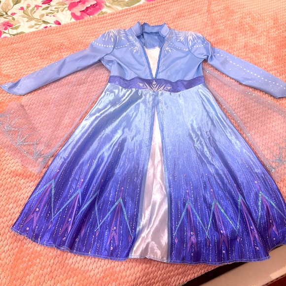 Other - Frozen Elsa costume